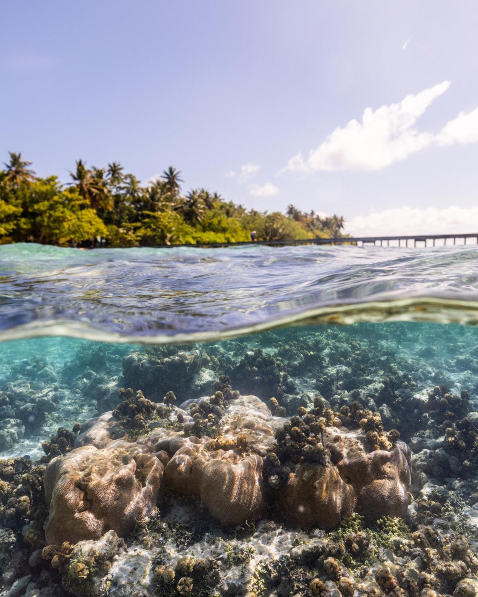 Kirulhiya Maldives Hotel Omadhoo Kültér fotó
